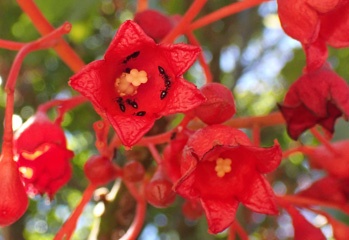 PB010643a.jpg
